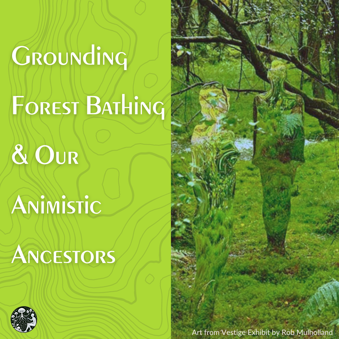 In the Footsteps of Our Ancestors: Animism, Nature, + Grounding for Healing