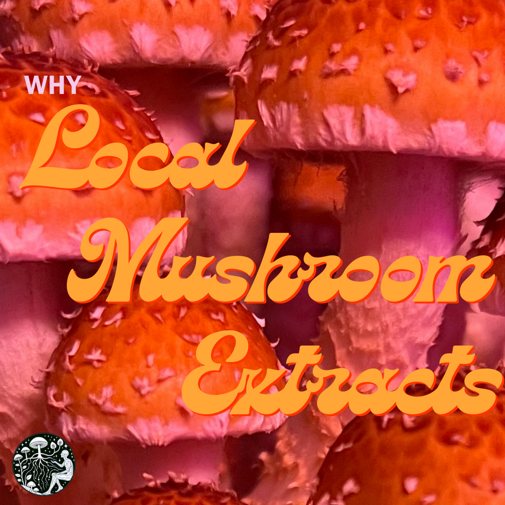 Why Local Mushroom Extracts Beat Out Imported Extracts Every Time