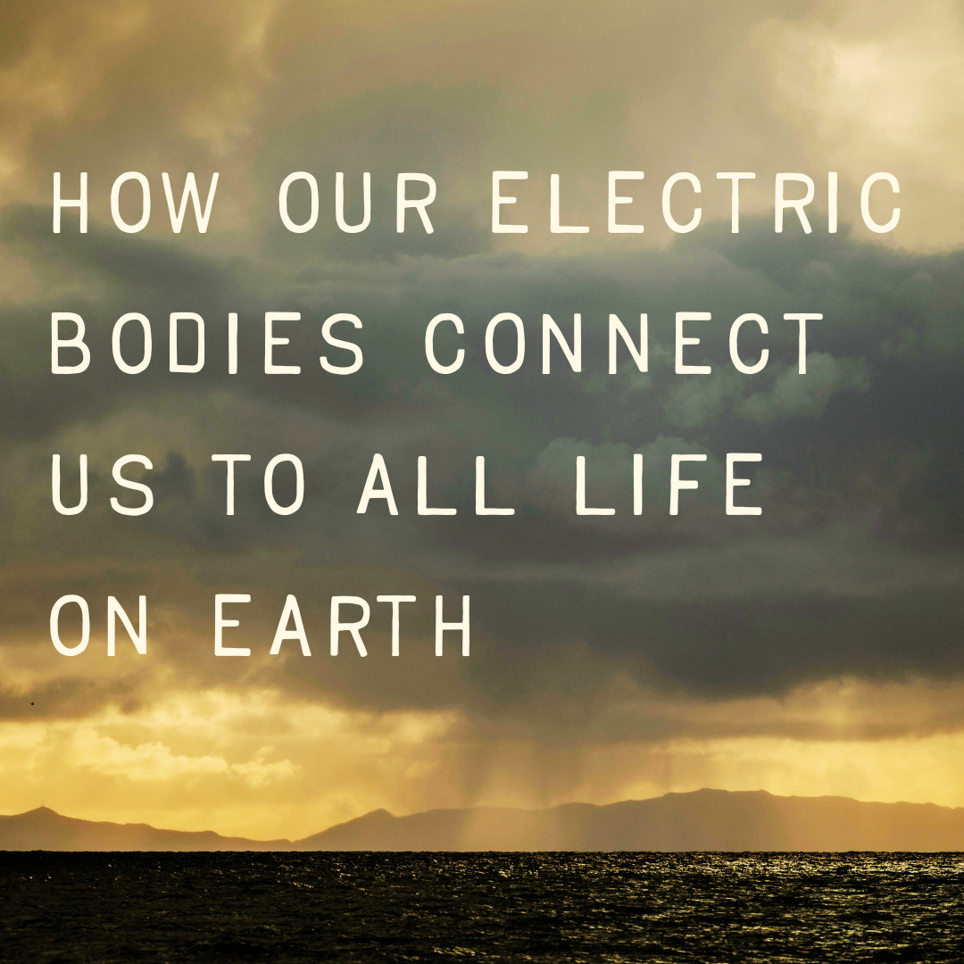 Exploring the Electric Nature of Life in Plants, Mushrooms, and Bodies