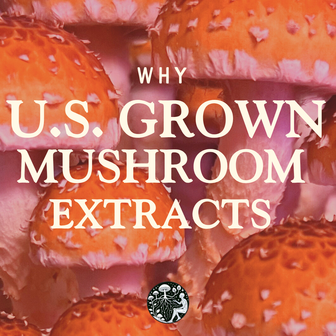 Why U.S. Grown Mushroom Extracts Beat Out Imported Extracts Every Time