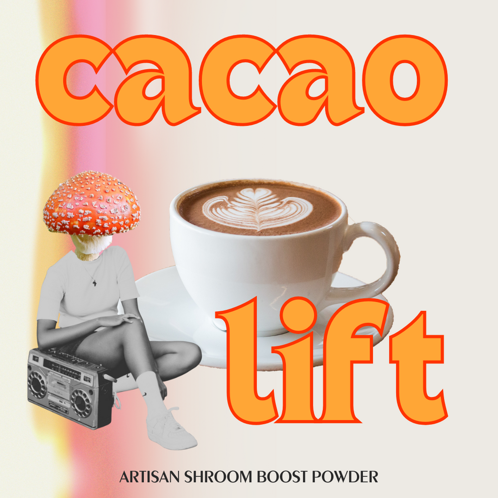 Cacao Lift Shroom Boost Powder