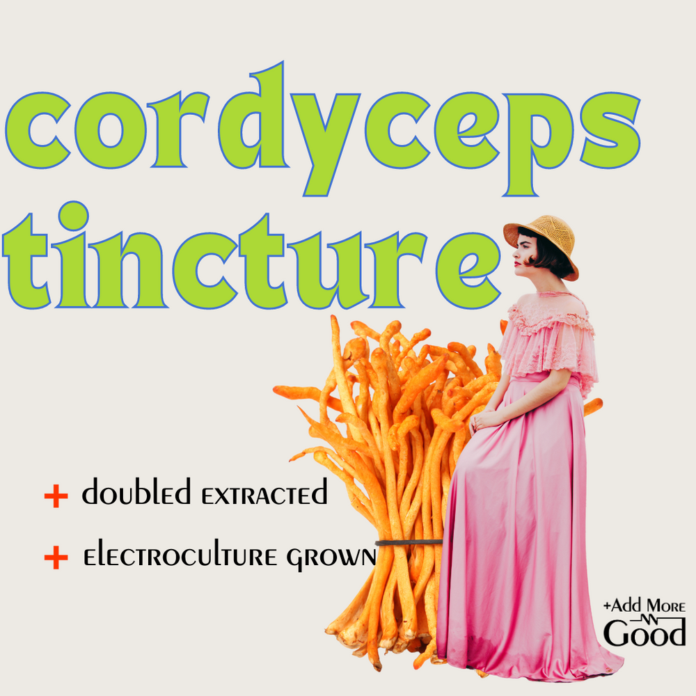 Cordyceps Tincture